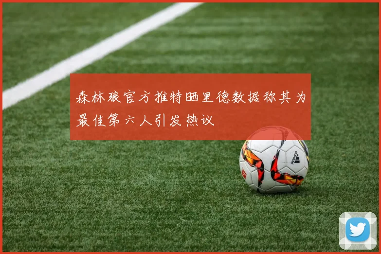 森林狼官方推特晒里德数据称其为最佳第六人引发热议