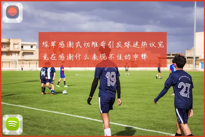 绿军感谢武切维奇引发球迷热议究竟在感谢什么表现不佳的中锋